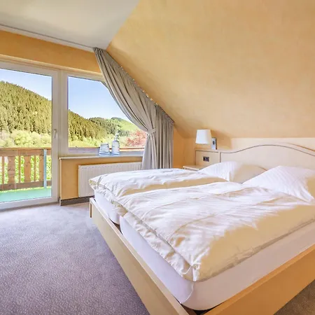 Haus Kieferneck Willingen (Upland)