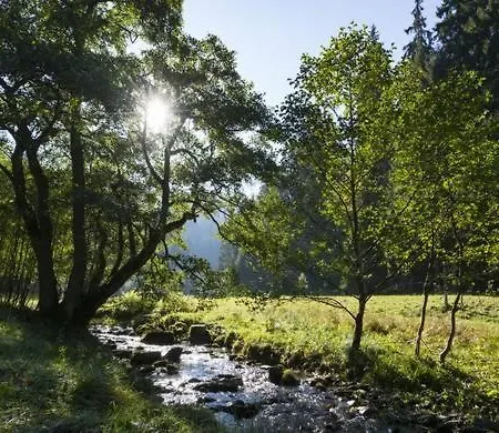 Haus Kieferneck Gasthof *
